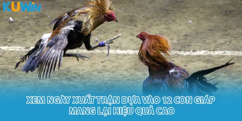 Xem ngày xuất trận dựa vào 12 con giúp mang lại hiệu quả cao