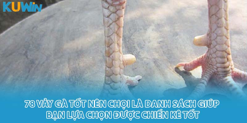 78 vảy gà tốt nên chọi là danh sách giúp bạn lựa chọn được chiến kê tốt
