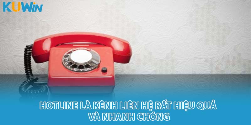 Hotline là kênh liên hệ rất hiệu quả và nhanh chóng