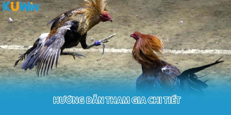 Hướng dẫn tham gia chi tiết
