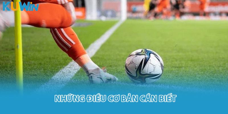 Những điều cơ bản cần biết